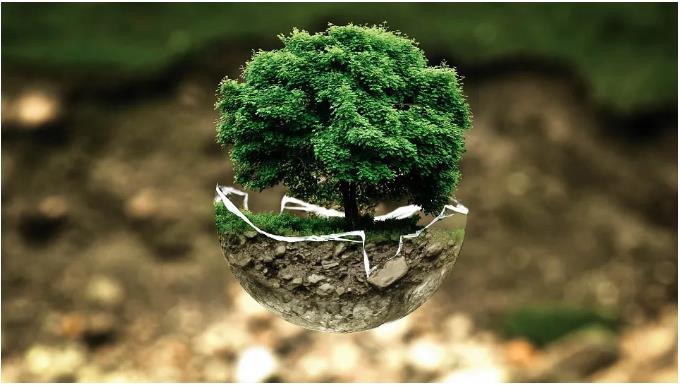 石化行業VOCs污染排查要點與治理新技術